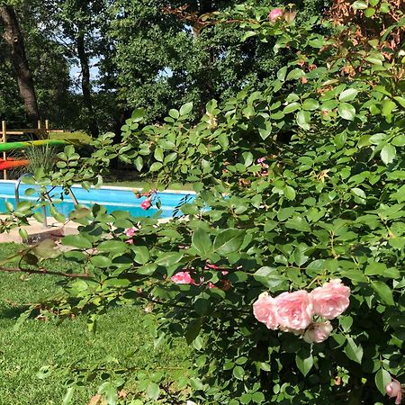 Ferienapartments Spreewaldwiesen Vetschau Pokój zdjęcie
