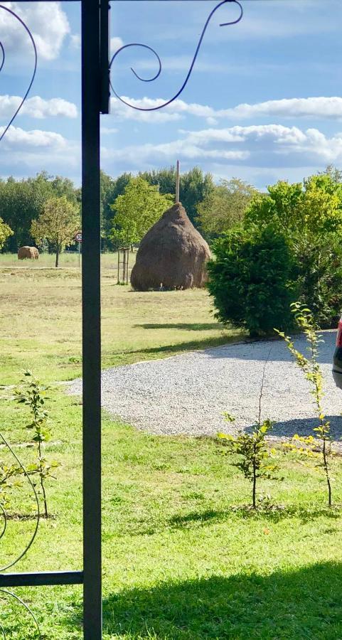 Ferienapartments Spreewaldwiesen Vetschau Zewnętrze zdjęcie