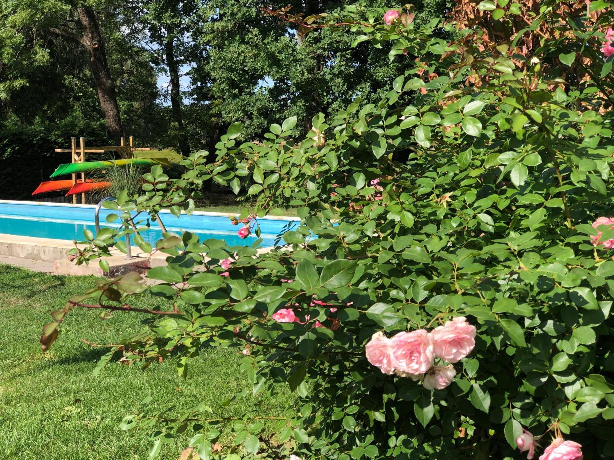 Ferienapartments Spreewaldwiesen Vetschau Pokój zdjęcie